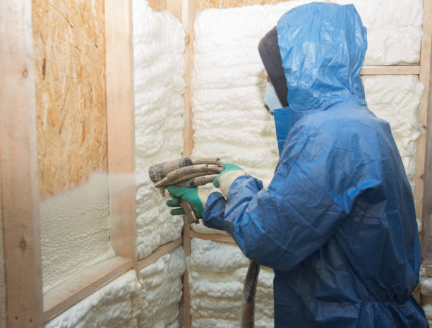 Professional Insulation Services in Elyria, OH